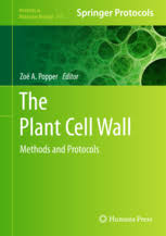 Plant cell and environment bioxbio. The Plant Cell Wall Methods And Protocols Zoe Popper Springer