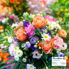 Laden sie 4.463.768 blumen bilder und stock fotos herunter. Blumen Zollinger Videos Facebook