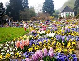 Fruhling Im Botanischen Garten Verein Freunde Des Botanischen Gartens Bielefeld E V