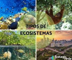Por lo general estas corrientes se originan de erosiones y/o depresiones en la corteza terrestre que. 23 Tipos De Ecosistemas Clasificacion Y Ejemplos