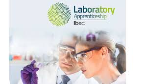 MTU Physical Sciences Department