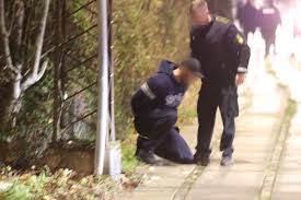 Özel müdahale birimi) danimarka ulusal polisinin polis taktik birimidir. Aktionsstyrke Hledani Na Twitteru