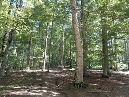 Image result for site:wikineos.com