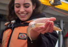 Research vessel brings students face-to-face with ocean creatures