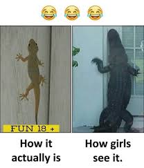 Prank A Girl With Lizard And See The Reaction Lizard Meme Funny Babies Funny Statuses