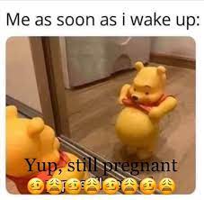 Pregnancy Memes Just Because August 2020 Babies Forums What To Expect