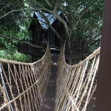 Treehouse residences is a new townhouse development. Miami Tree House Builders Home Facebook