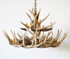 Whitetail Antler Chandelier 12 Light