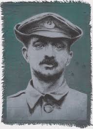 Parliament Of Trees Brighton