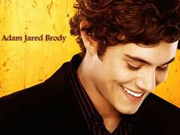 HD wallpaper: Adam Jared Brody Smily Face, Male celebrities, Adam Brody,  hollywood