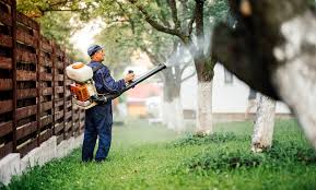 Termite season coming up now. Pest Control Service Rodent New Champions Pest Control Groupon