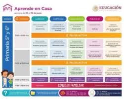 El nivel primario del programa aprendo en casa contempla los grados de 1°, 2°, 3°, 4°, 5° y 6°. En Vivo Aprende En Casa Quinto Y Sexto De Primaria 2 De Junio