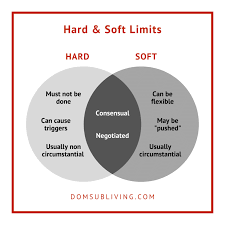 BDSM Limits: BDSM Hard Limits & BDSM Soft Limits Explained - Dom Sub Living