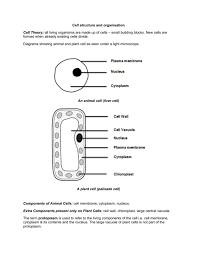 Plant cells have a fixed shape. Cell Structure And Organisation Notes Igcsebiology Dnl