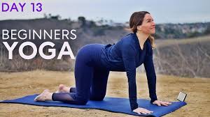 Beginners Yoga For Morning 20 Min Workout Day 13 Fightmaster Yoga Videos Youtube Yoga For Beginners Yoga Videos 20 Min Workout