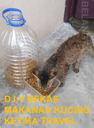 Kucing, peliharaan, binatang, tips kocak, diy kocak, rumah kucing, kandang kucing kasur nyaman buat kucing. Cara Buat Bekas Makanan Kucing Automatik D I Y Some Bullet For Your Head