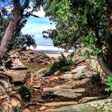 الجلفة بانوراما صورة للجبل الشامخ القعدة ومن ورائه السبخة Natural Landmarks Photo Capital City