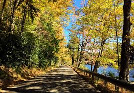 The indian cabins are along toms run behind the park office. River S Edge Cottage Cook Forest Cabins River Front Clarion River Ne Pennsylvania