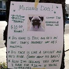 You can also upload and share your favorite cat meme wallpapers. 20 Funny Lost And Found Pet Posters