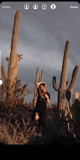 The perfect cactus guitar mexican animated gif for your conversation. Tips For Better Instagram Stories She Wanders Photography