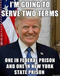 Trump Memes