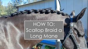 You have a couple of options when it comes to braiding tools. How To Scallop Braid A Long Mane Youtube