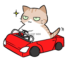 車を運転する猫：イラスト無料