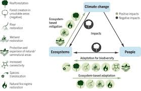 Mitigations page for the microsoft threat modeling tool highlighting possible solutions to the most exposed generated threats. Measuring The Success Of Climate Change Adaptation And Mitigation In Terrestrial Ecosystems Science