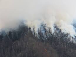 Keith carnahan recommends no way jose's cantina (gatlinburg, tn). Fire And Smoke In Gatlinburg Tn Gatlinburgtnguide Com