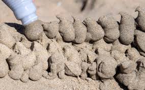 Creatures of the sea rise out of sand during 58-year-old Newport Beach  contest