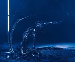 Bildergebnis für Joshua Serafin