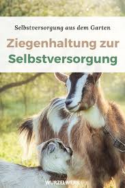 Selbstversorgung Aus Dem Garten Ist 100 Ige Selbstversorgung Moglich Wurzelwerk In 2020 Ziege Garten Nutzgarten Anlegen