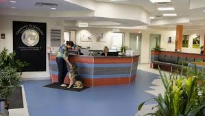 We treat dogs, cats, and many exotic pets. Toronto Veterinary Emergency Hospital 24 Hour Pet Medical Center