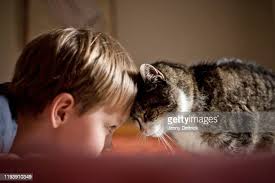 6,543 Jenny 7 Stock Photos, High-Res Pictures, and Images