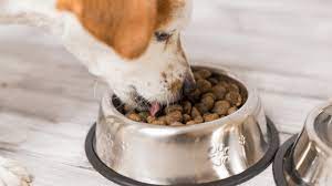 Enter brand name or stuff to search. The Advanced Guide To Get Free Dog Food Samples Online Amzfinder