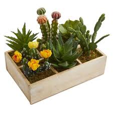 How long does it take for a cactus to grow? Nearly Natural 11 In Indoor Mixed Succulent Garden In Tray Artificial Plant 4333 The Home Depot