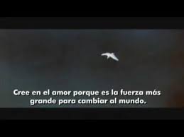 Monografias Com Juan Salvador Gaviota Juan Salvador Gaviota Frases Libro Juan Salvador Gaviota