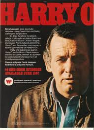 The Fugitive TV Series