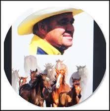 Mon histoire by nataleeroy