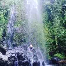 Pesona curug nini purbalingga, airnya jernih dan menyegarkan. 13 Destinasi Wisata Purbalingga Ini Akan Membuatmu Takjub