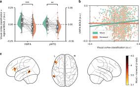 There are usually many words you can make. Word Contexts Enhance The Neural Representation Of Individual Letters In Early Visual Cortex Nature Communications