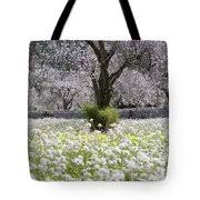 Facebook gives people the power to share and makes the world. Almond Tree In Blossom Near Randa By Holger Leue