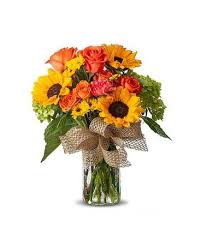 Maybe you would like to learn more about one of these? Gainesville Florist Flower Delivery By Floral Expressions Florist