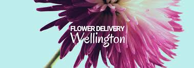 Check spelling or type a new query. The 7 Best Options For Flower Delivery In Wellington 2021