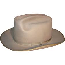 Vintage 1950 S Stetson Hat By Peters Brothers Inc Fort Worth Texas My Grandmother Had One Ruby Lane