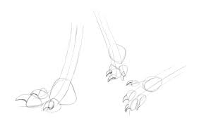Sketchbook Original How To Draw Dragons Monika Zagrobelna 1027x778 claws drawing claw mark for free download. to draw dragons monika zagrobelna