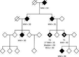 Capo ramirez catalina daniela pasaporte: Germline Tert Promoter Mutations Are Rare In Familial Melanoma Springerlink