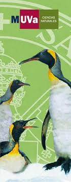 Maybe you would like to learn more about one of these? Colecciones De Ciencias Naturales Colegio A Garcia Quintana Plaza Espana 7 C P 47001 Valladoli Ciencias Naturales Paleontologia Universidad De Valladolid