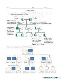 Pedigrees practice answer key title pedigrees practice subject this worksheet looks at pedigrees in families with albinism track the alleles as they. Pedigree Analysis Worksheet