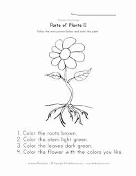 Worksheets For Kindergarten Plants In 2020 Plants Worksheets Parts Of A Plant Plants Kindergarten